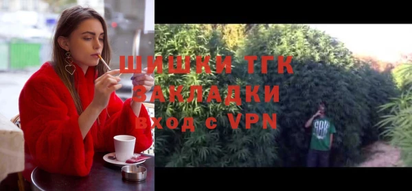 соль ск Горняк