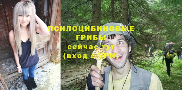 соль ск Горняк