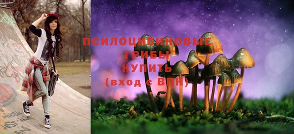 соль ск Горняк