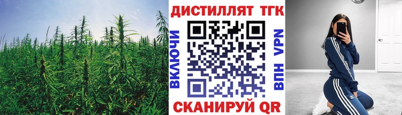 Дистиллят ТГК THC oil Курильск